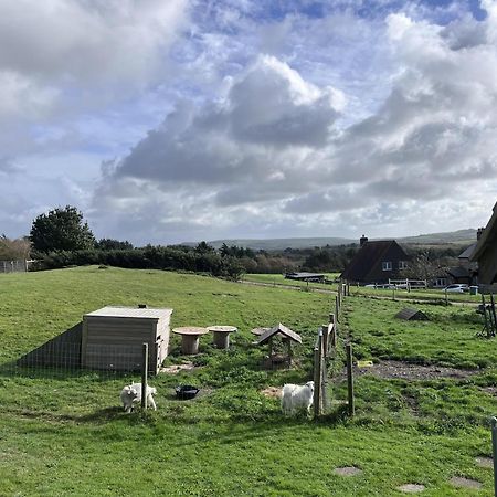 Poachers Hut - Captivating 1-Bed Cottage Shorwell Eksteriør bilde