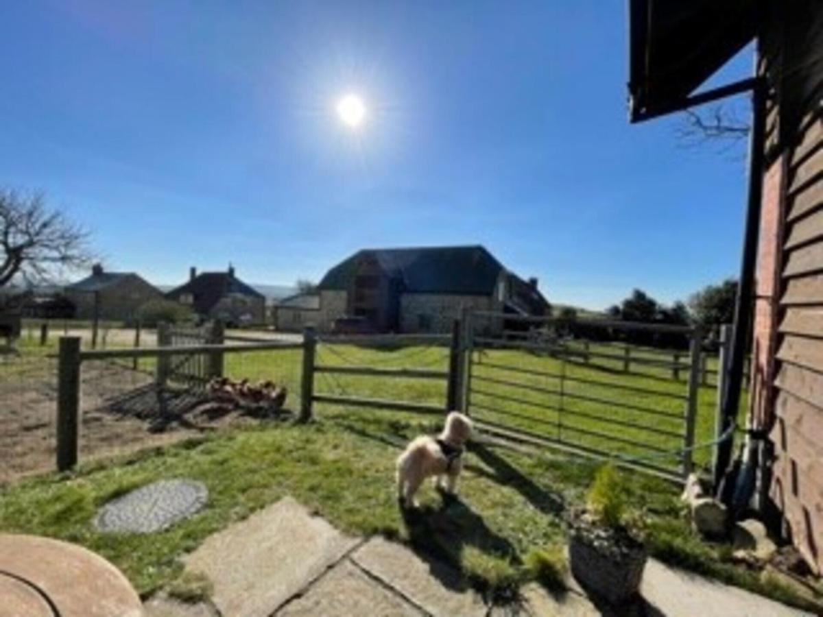 Poachers Hut - Captivating 1-Bed Cottage Shorwell Eksteriør bilde