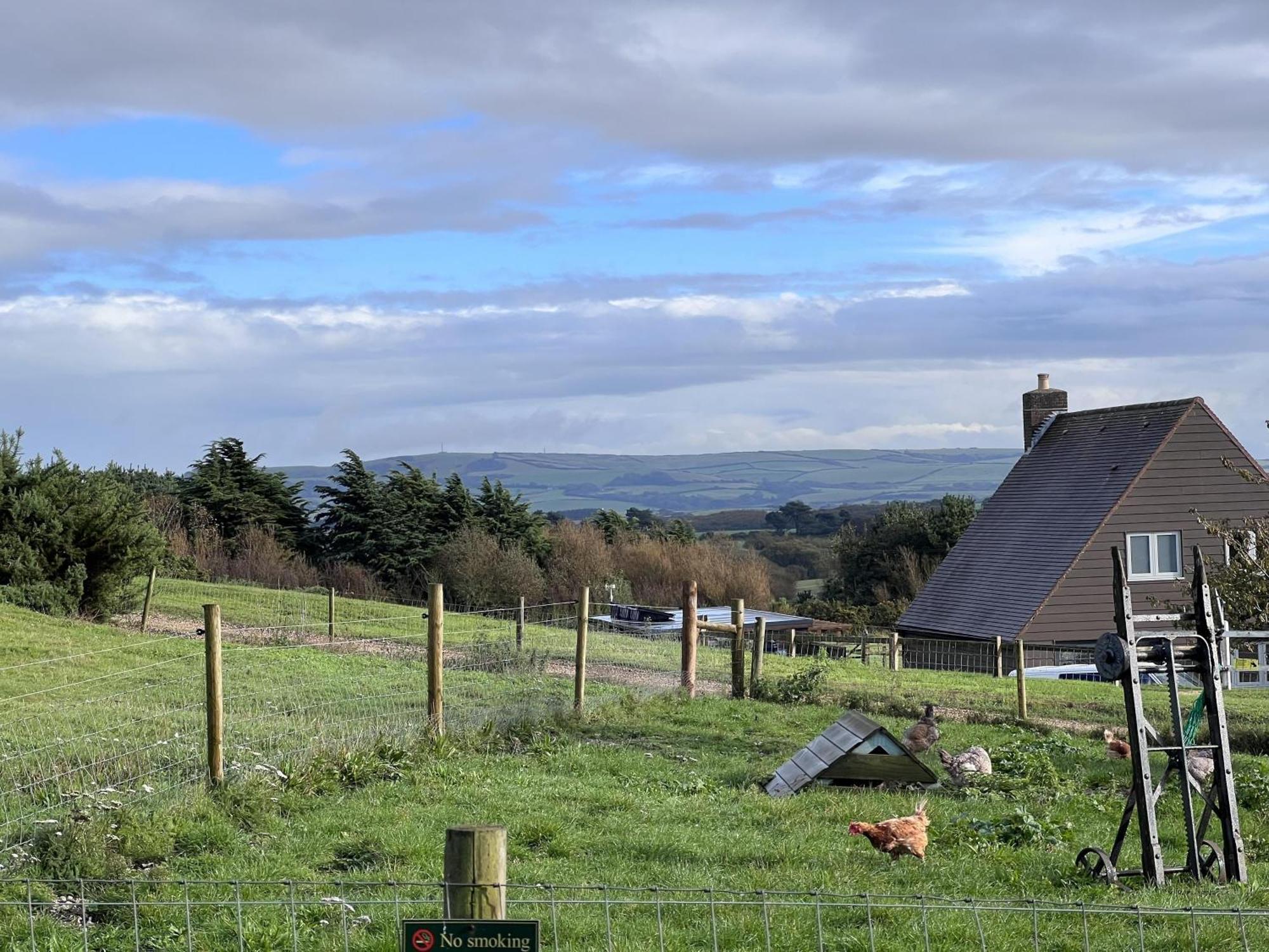Poachers Hut - Captivating 1-Bed Cottage Shorwell Eksteriør bilde