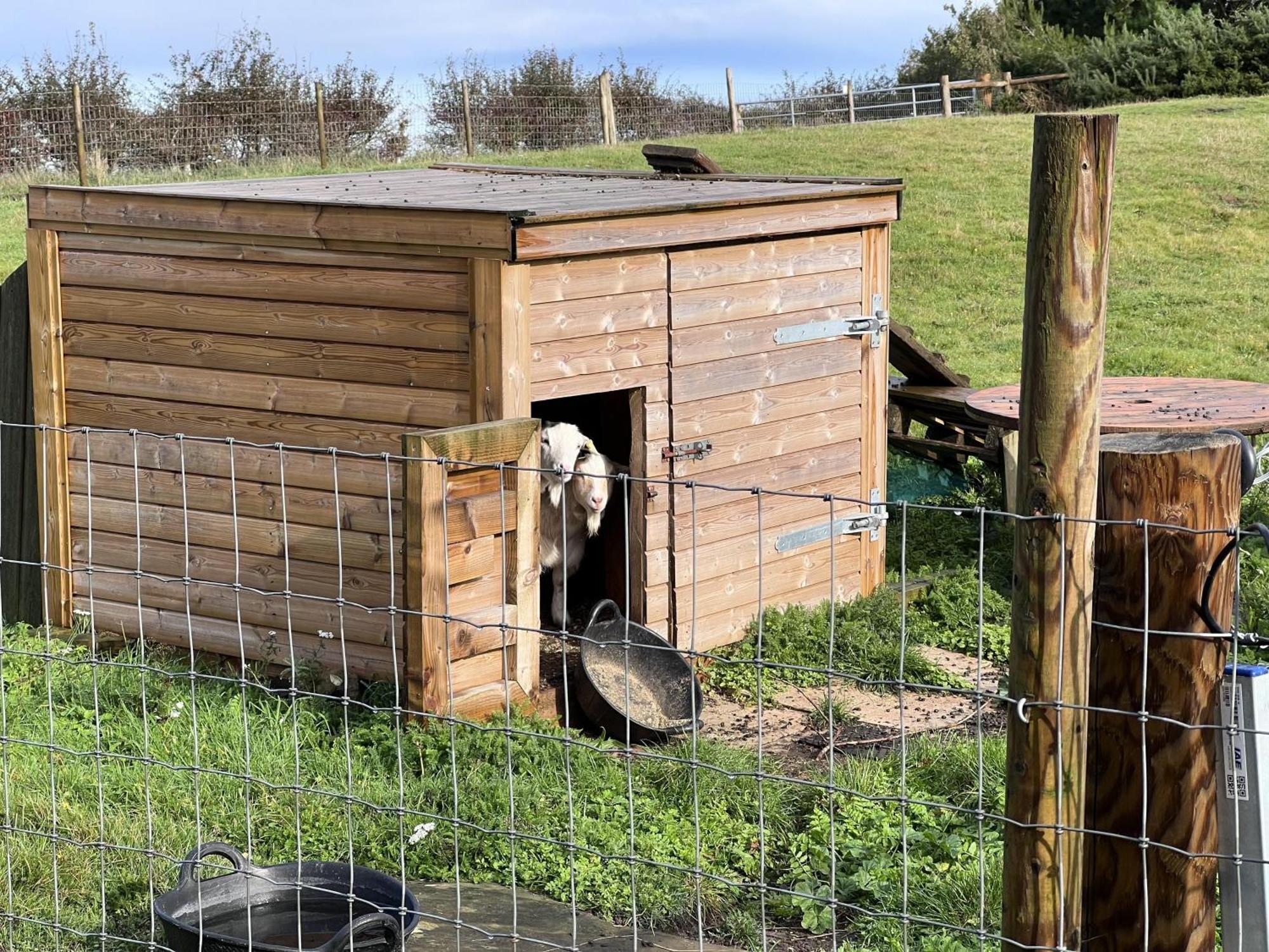 Poachers Hut - Captivating 1-Bed Cottage Shorwell Eksteriør bilde